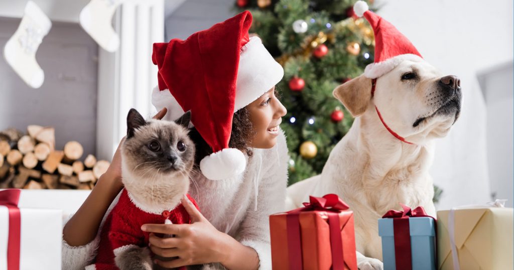Girl sitting with cat and dog in Christmas decorations