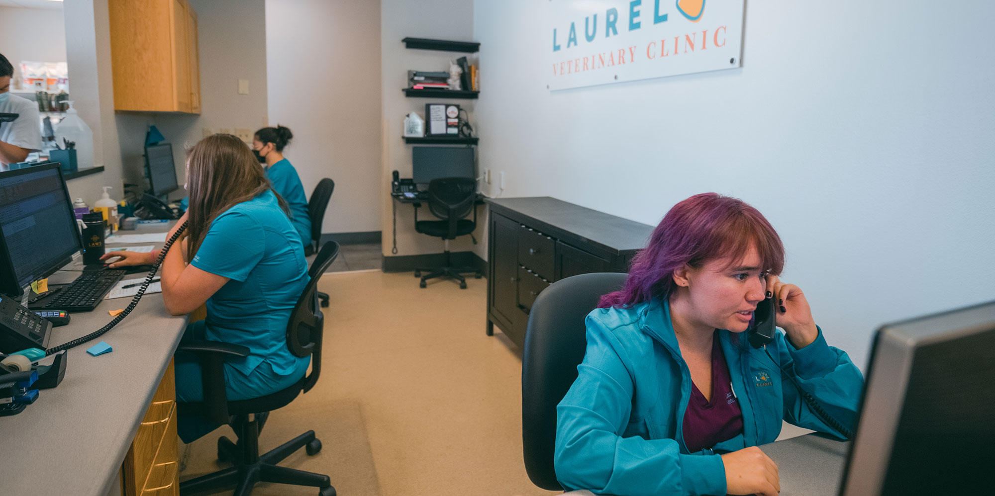 Contact Us, Hours & Location Laurel Veterinary Clinic